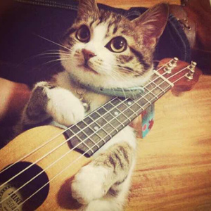 小鲜肉操老女人
